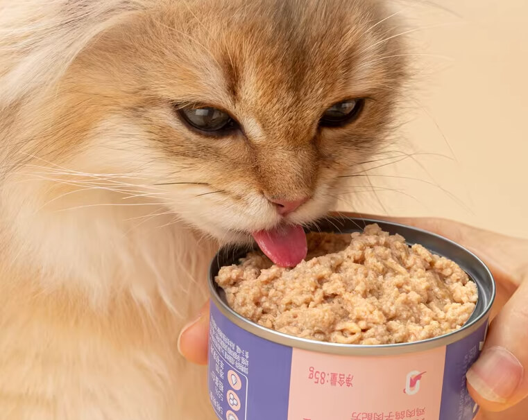 猫咪罐头分类：主食罐、零食罐、汤罐区别