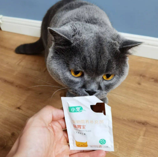 猫咪益生菌正确喂法：软便、呕吐、肠胃调理