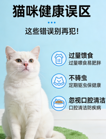 猫咪健康误区：养猫人常犯的7个错误