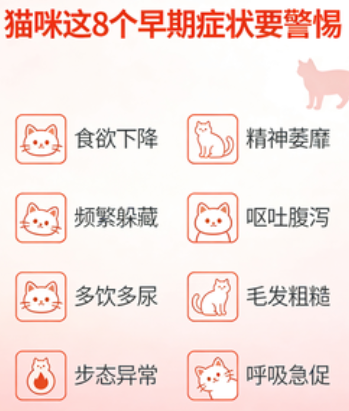 猫咪健康问题？这8个早期症状要警惕