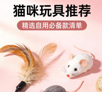 猫咪玩具推荐：精选自用必备款清单