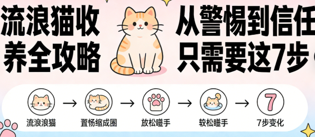 流浪猫收养全攻略：从警惕到信任只需要这7步
